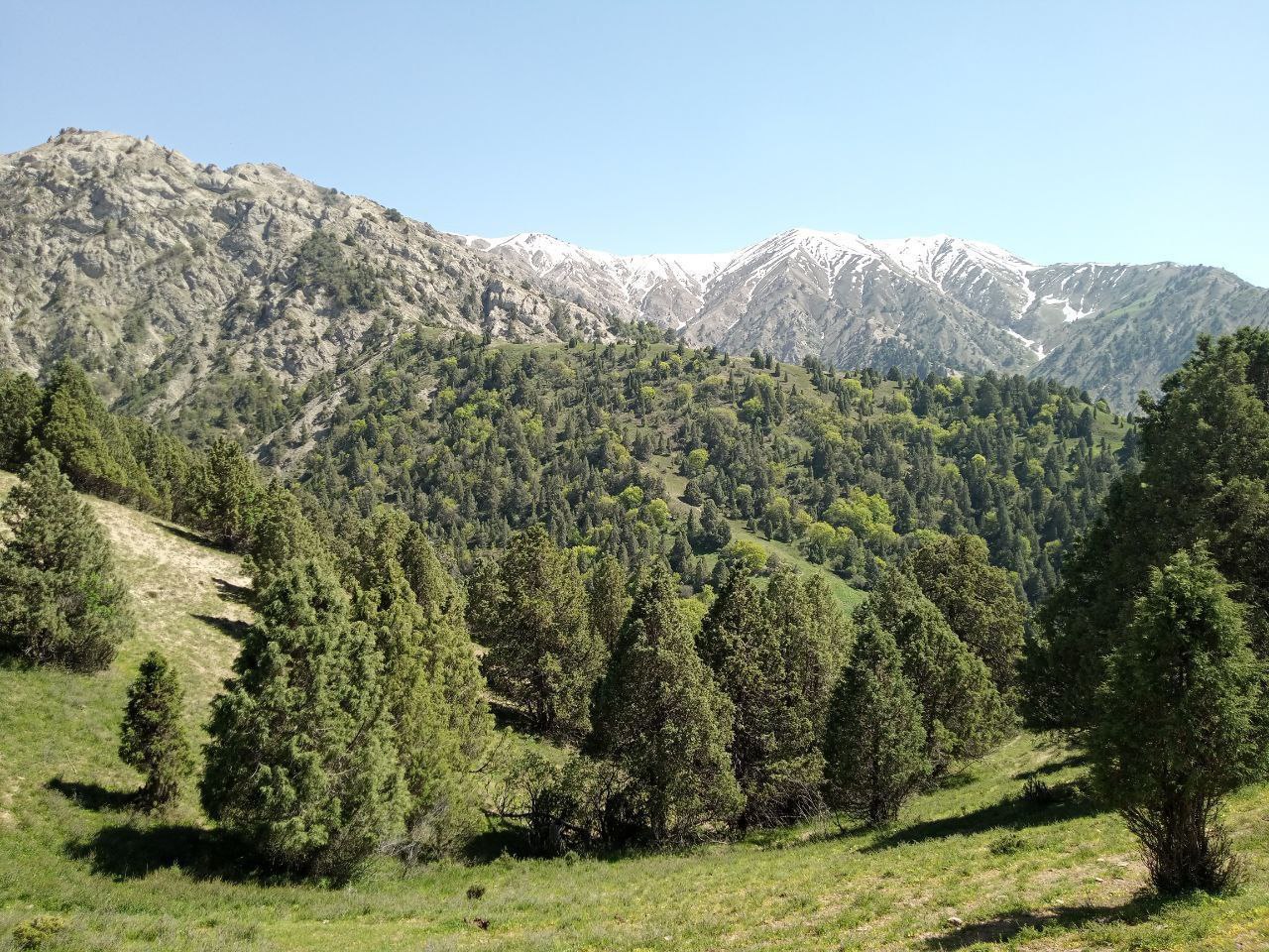 Национальный природный парк «Юкори Тупаланг»