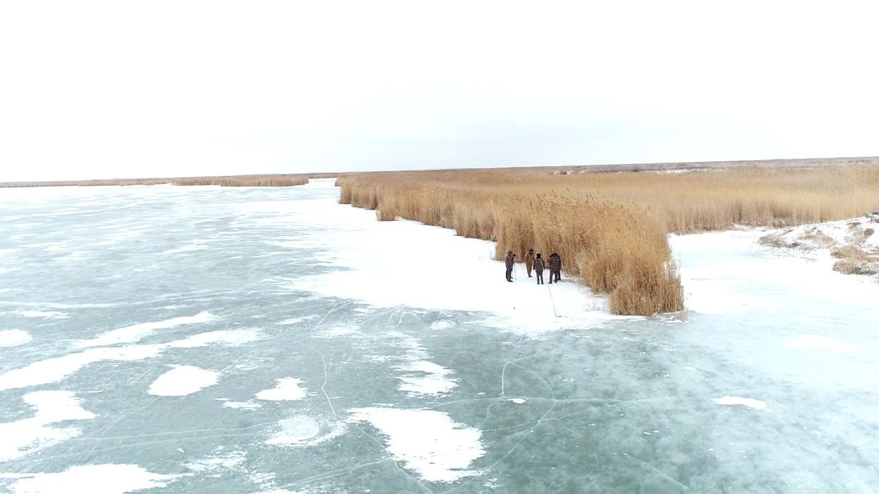 Государственный заказник «Судочье-Акпетки»