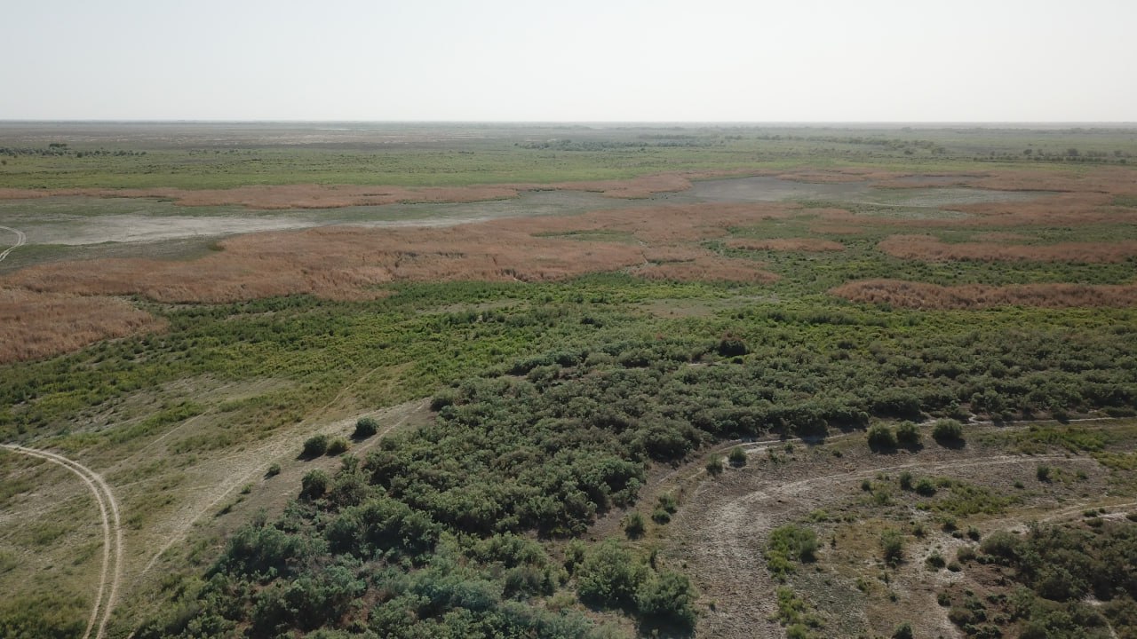 Национальный природный парк "Приаралье"