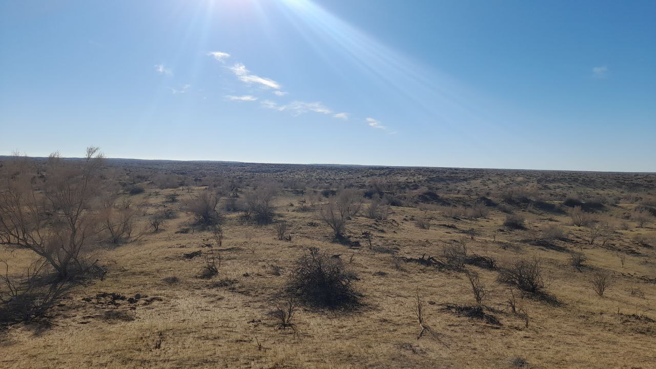 Государственный заповедник Актаг-Тамди