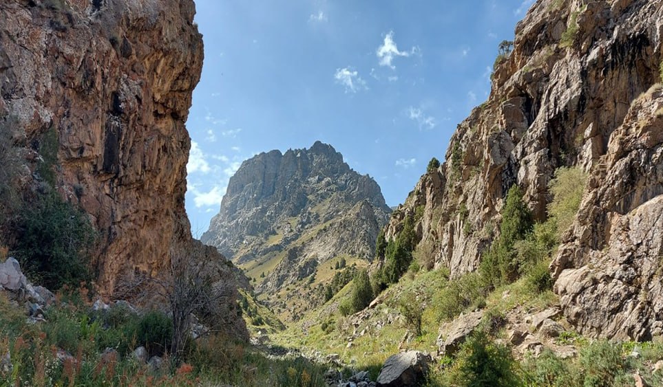 Джизакский государственный заповедник «Заамин»