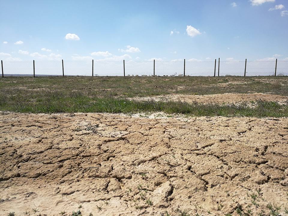 Бухарский специализированный питомник «Джейран»