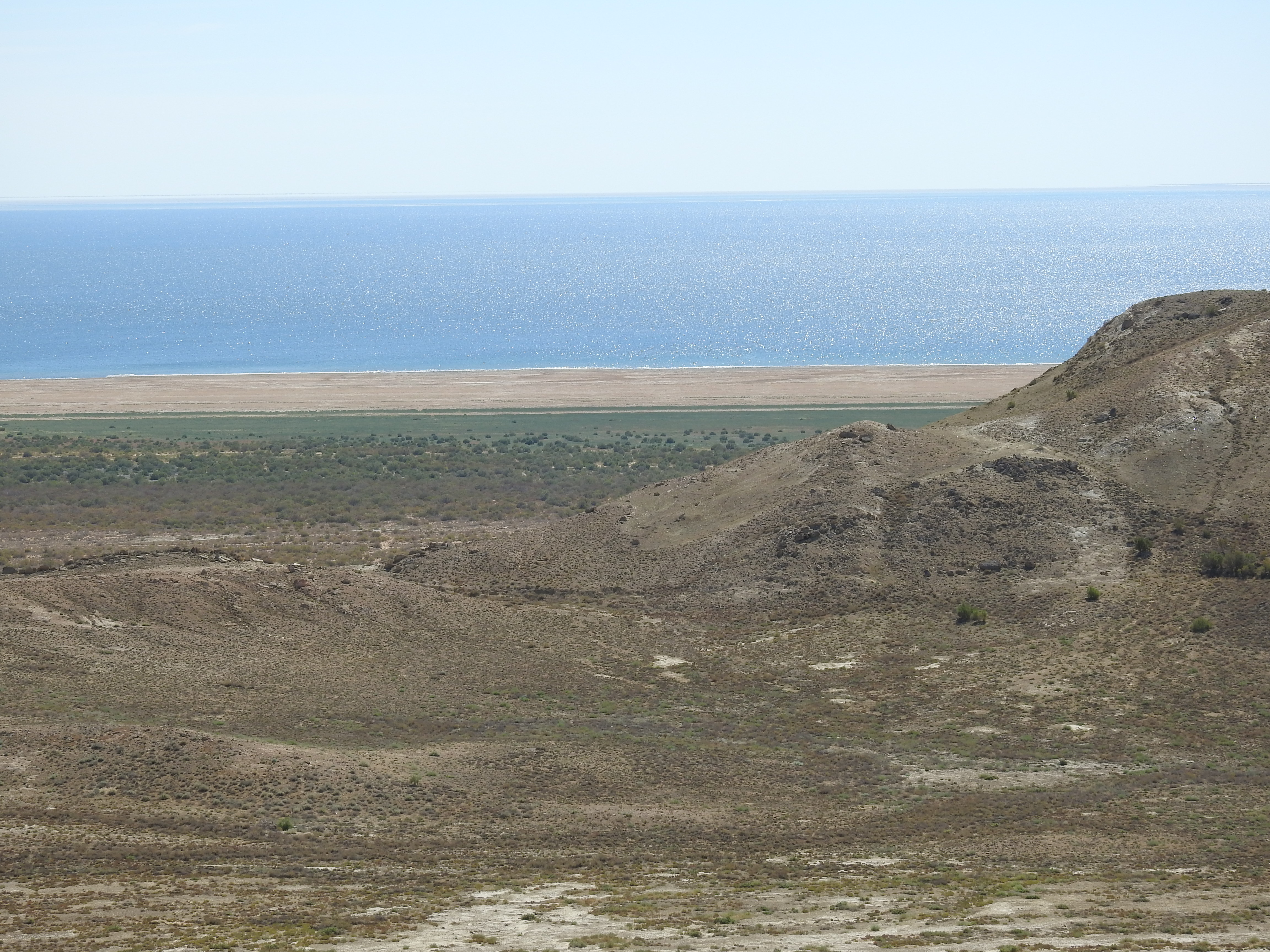 Сайгачий комплексный (ландшафтный) заказник