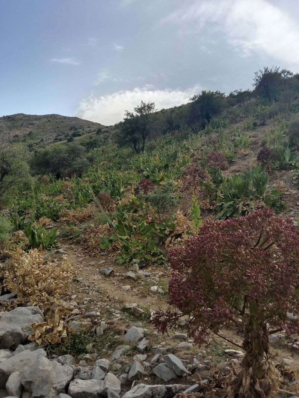 Национальный природный парк «Амонкутан»