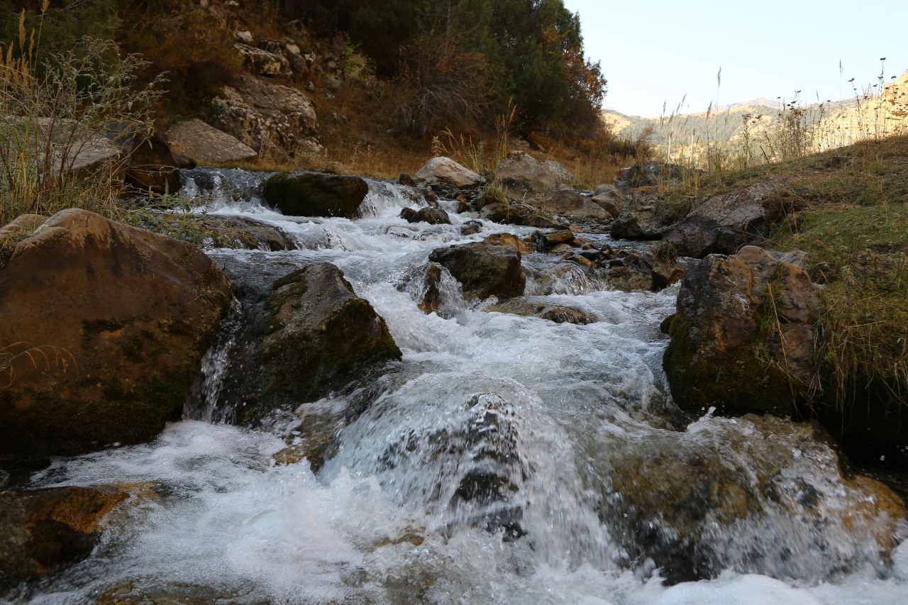Национальный природный парк «Заамин»