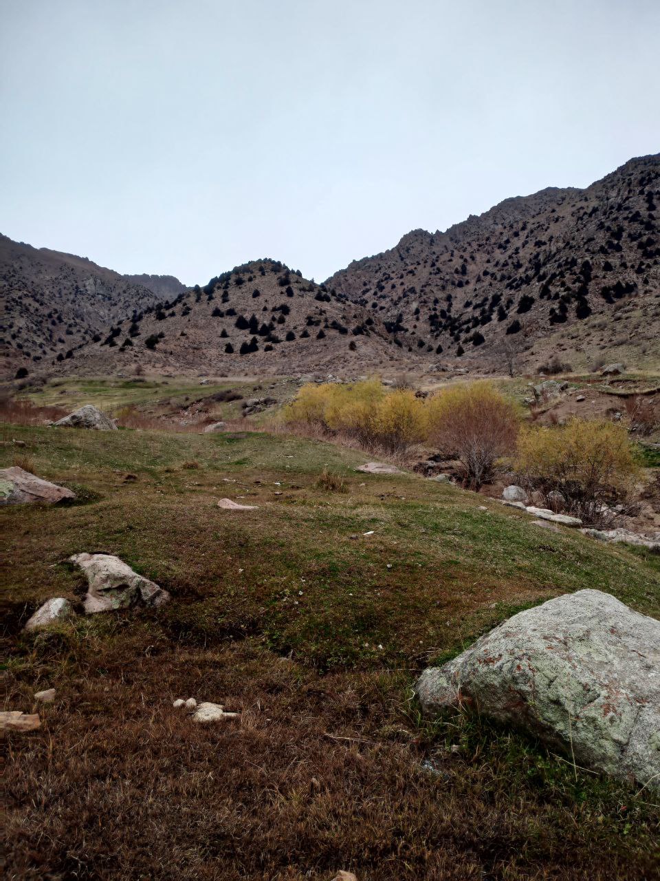Национальный природный парк «Поп»