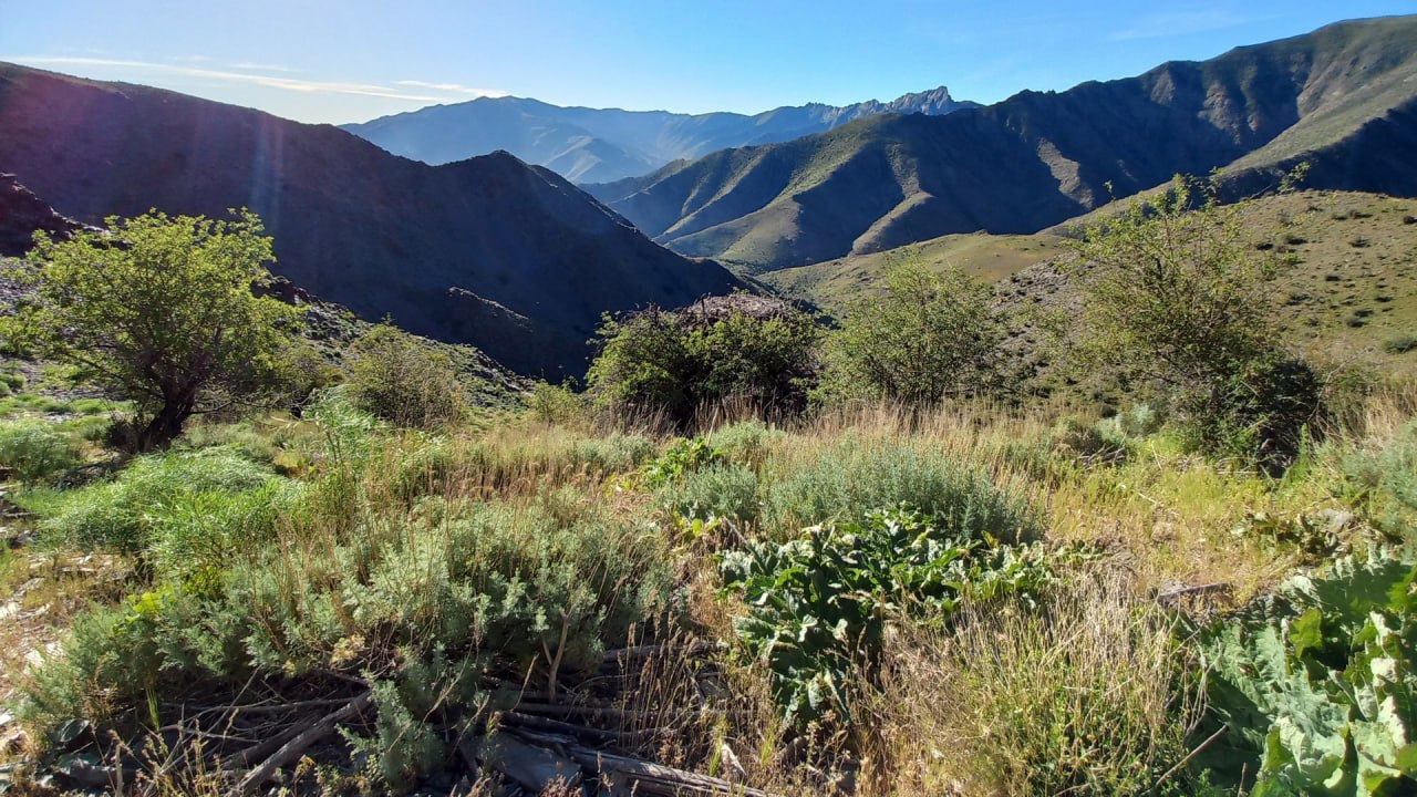 Нуратинский государственный природный заповедник