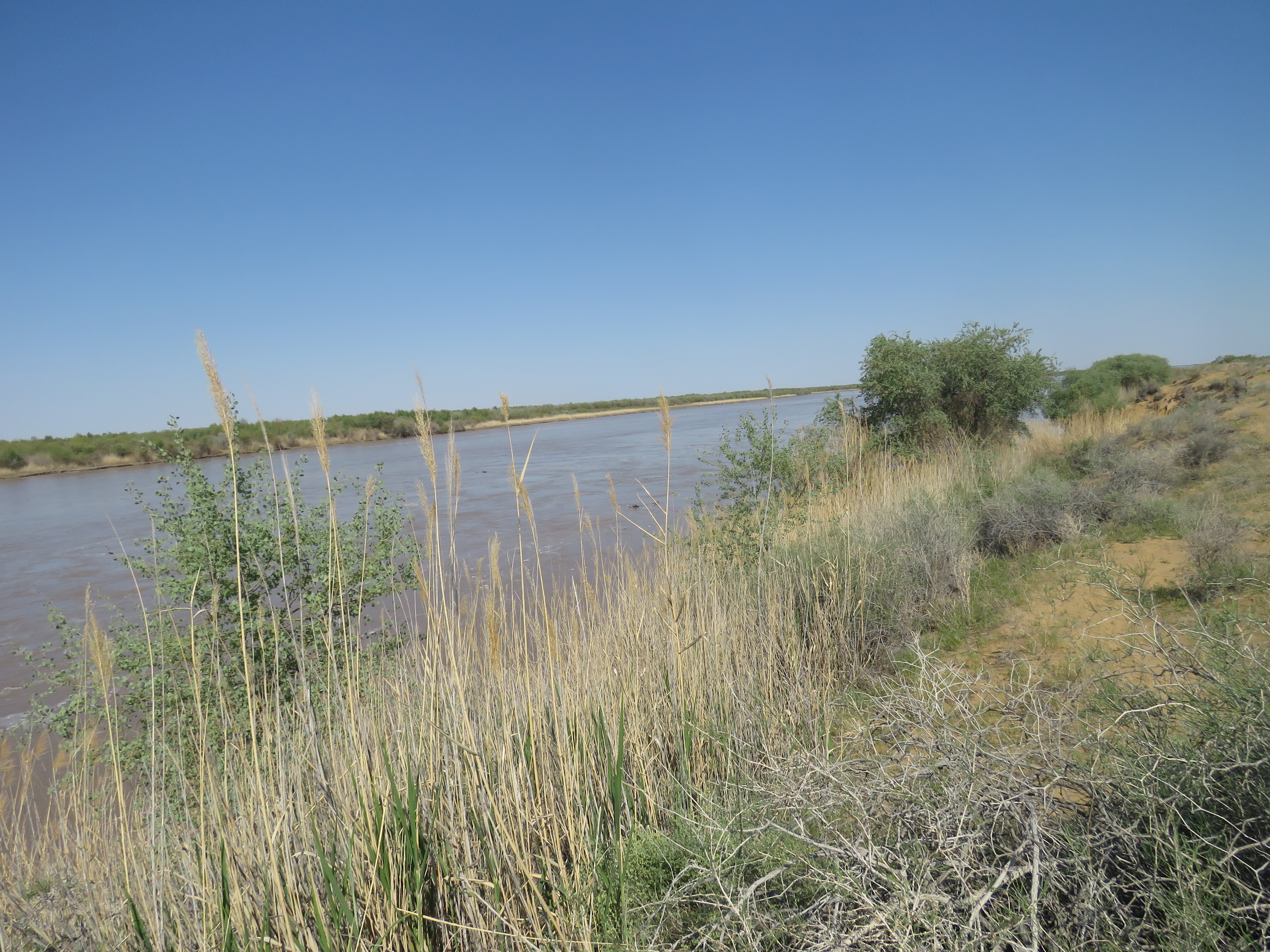 Кызылкумский государственный природный заповедник