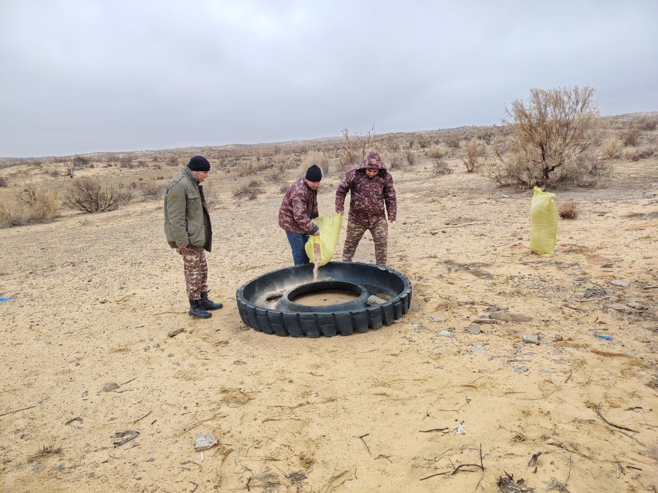 Сотрудниками национального природного парка «Центральный Кызылкум» в Окбукетском отделении проводятся биотехнические мероприятия.