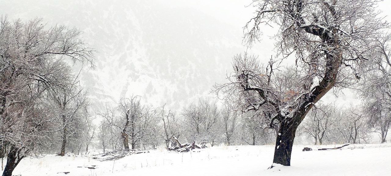 Несмотря на весну, в национальном парке «Юкори Тупаланг» выпал снег